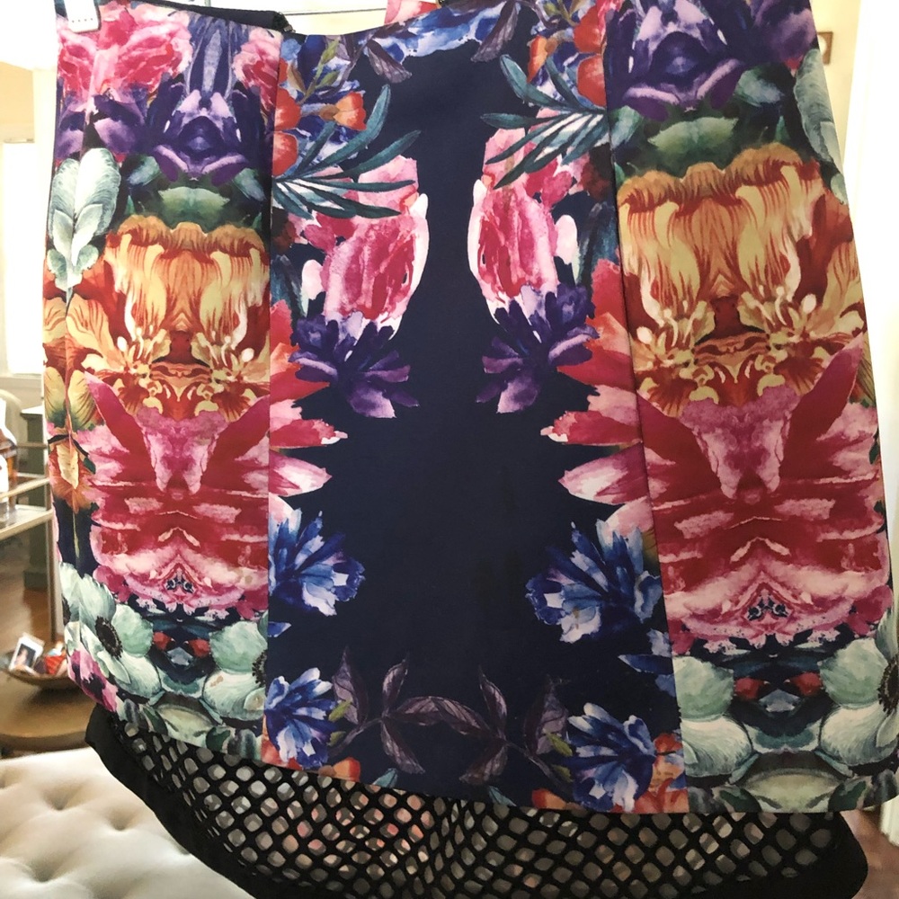 Cameo Floral and Mesh Skirt